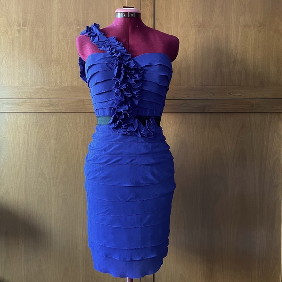 BCBG Max Azria Dress - Picture 1 of 6